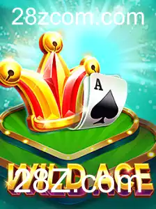WildAce: Descubra o Jogo Que Está Conquistando Corações em 28Z.com